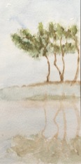 Watercolour_tree reflection